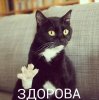 Аватар