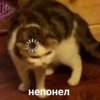 Аватар