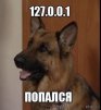 Аватар