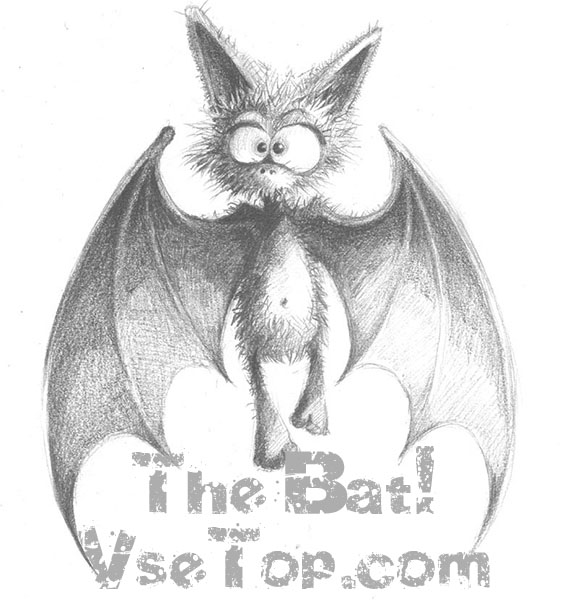 The Bat! Pro + ключ - программа для электронной почты The Bat! Pro + ключ - программа для электронной почты