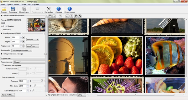 Benvista PhotoZoom Pro + ключ - увеличить фото без потери качества Benvista PhotoZoom Pro + ключ - увеличить фото без потери качества