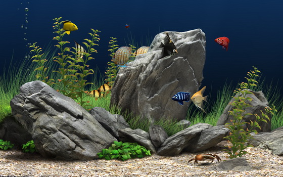 Скринсейвер Dream Aquarium – аквариум на рабочий стол Скринсейвер Dream Aquarium – аквариум на рабочий стол