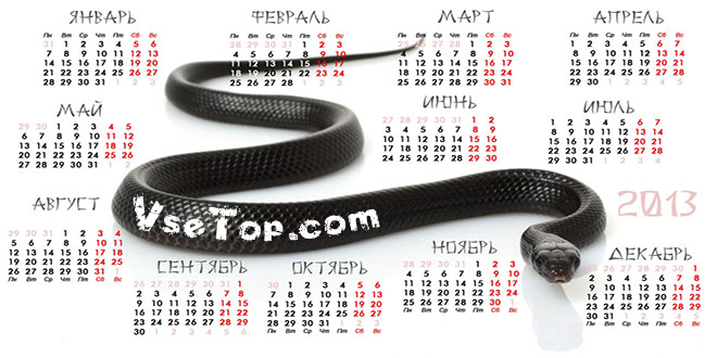 Дизайн календарей 11.0 + ключ Дизайн календарей 11.0 + ключ