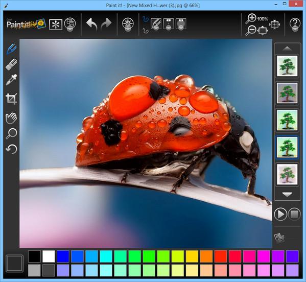 Corel Paint It! на русском – сделать картину из фото Corel Paint It! на русском – сделать картину из фото