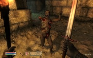The Elder Scrolls 4: Oblivion - Золотое издание (2007) PC – торрент