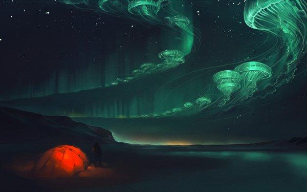 Свежие летние обои