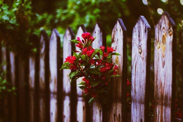 Самые новые и креативные обои