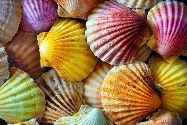 Красивые картинки на весь экран