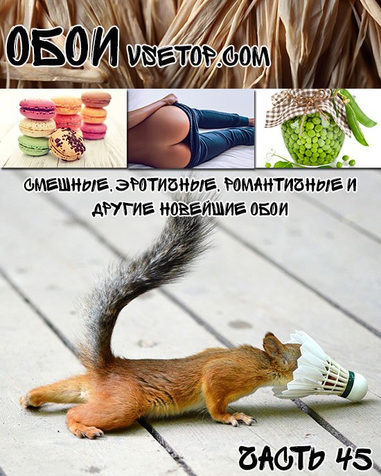 Смешные, эротичные, романтичные и другие новейшие обои Смешные, эротичные, романтичные и другие новейшие обои