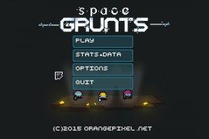 Space Grunts v1.7.3 - полная версия