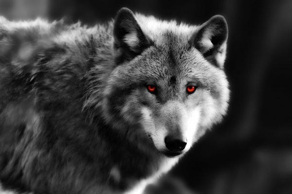 Обои vsetop часть 66