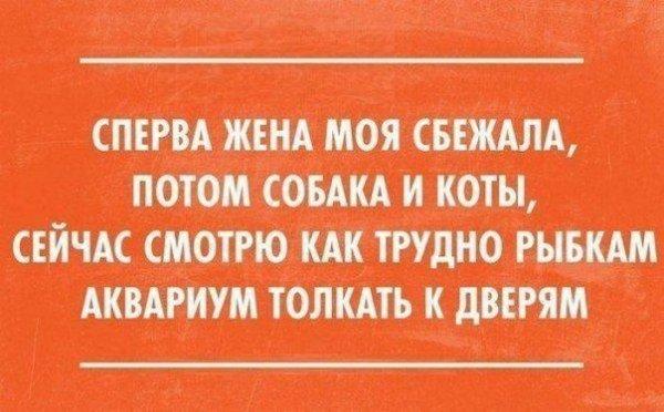 Микс из самых смешных шуток в картинках Микс из самых смешных шуток в картинках