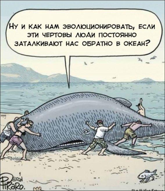 Микс из самых смешных шуток в картинках Микс из самых смешных шуток в картинках