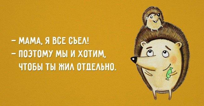 Микс из самых смешных шуток в картинках Микс из самых смешных шуток в картинках