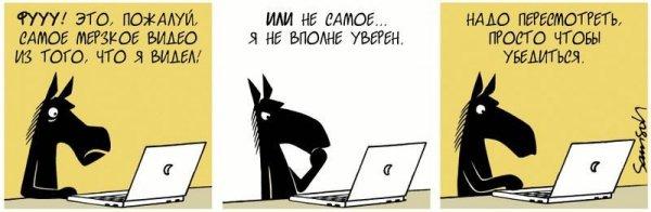 Конь Гораций, который почти такой же странный как люди