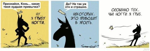 Конь Гораций, который почти такой же странный как люди