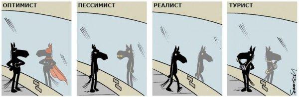 Конь Гораций, который почти такой же странный как люди