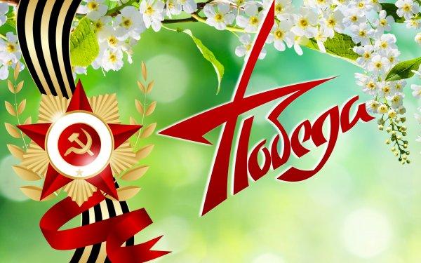Обои vsetop часть 77