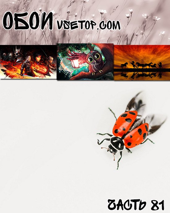 Обои vsetop часть 81 Обои vsetop часть 81