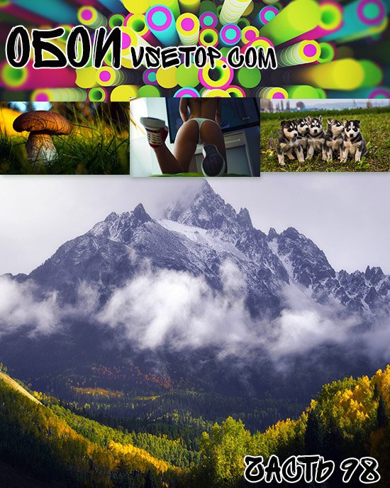 Обои vsetop часть 98 Обои vsetop часть 98