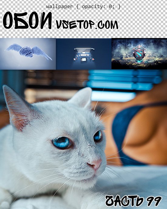 Обои vsetop часть 99 Обои vsetop часть 99