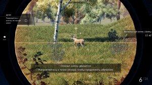 Hunting Simulator v1.2 – полная версия на русском