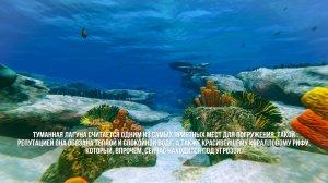 Deep Diving Simulator v06.09.2019 - полная версия на русском