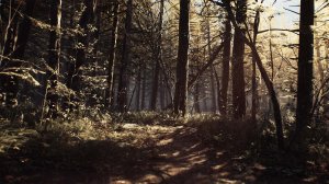 Blair Witch v1.0 Update 5 - торрент