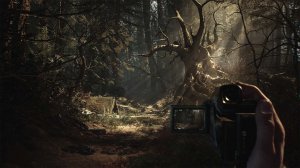 Blair Witch v1.0 Update 5 - торрент