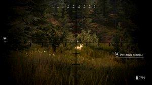 Hunting Simulator 2: Bear Hunter Edition v1.0.0.311.66949 - торрент